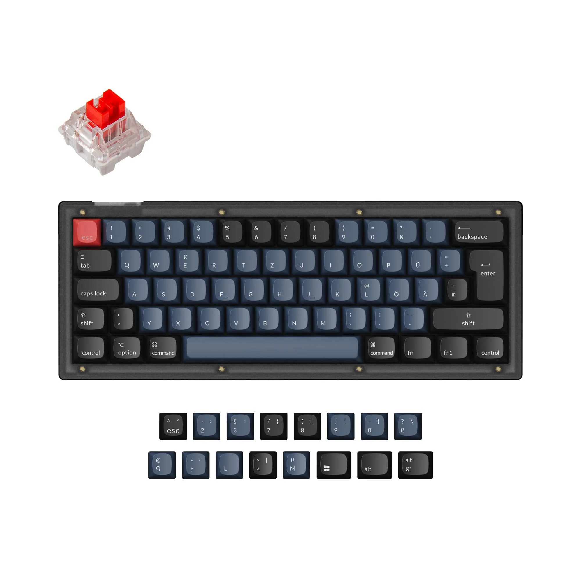 Thumbnail 1
